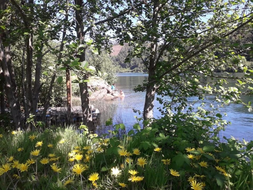 Spring, Day, Natural landscape, Garden, Garden view, River view