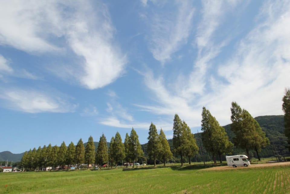 Nearby landmark, Spring, Day, Natural landscape