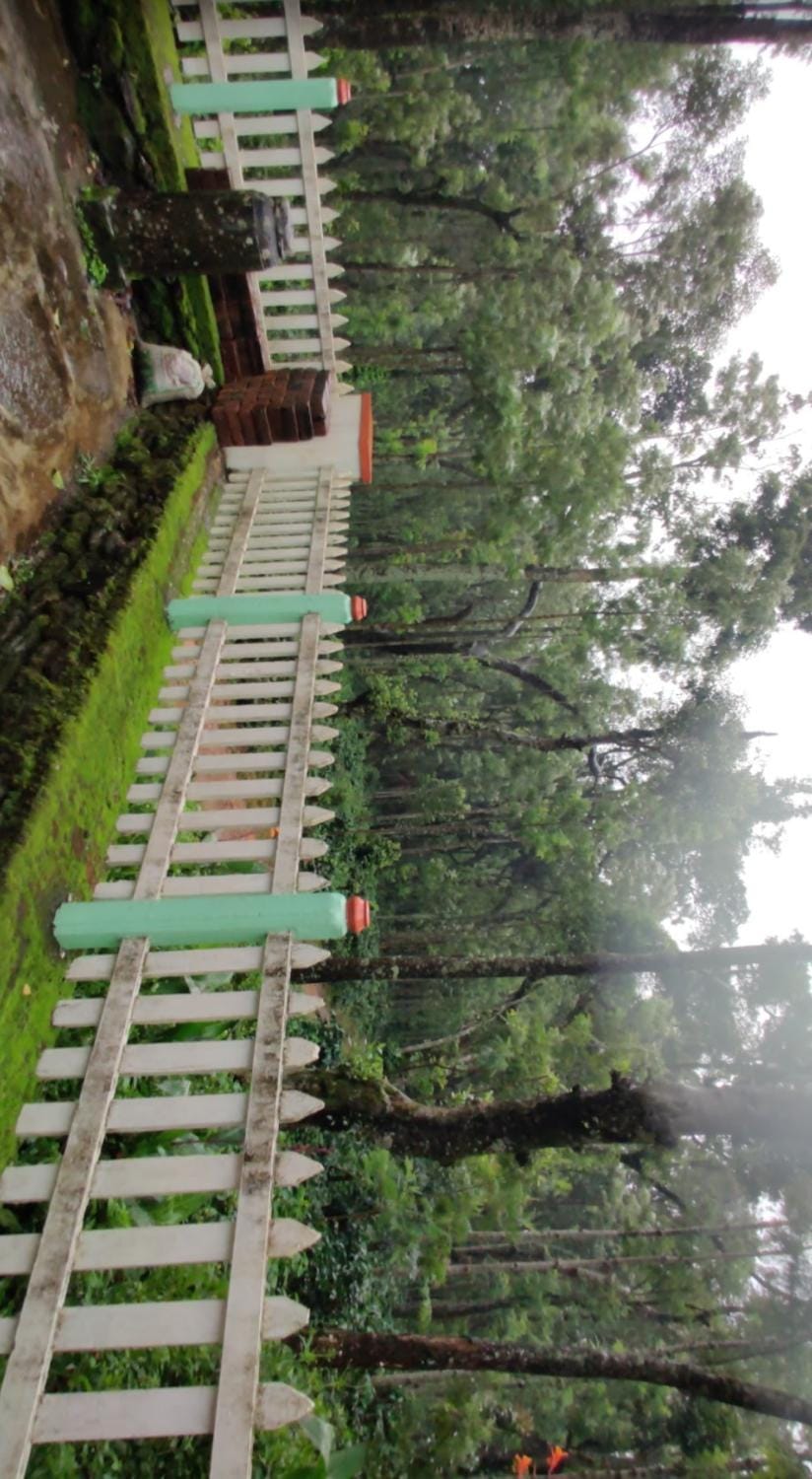 Natural landscape