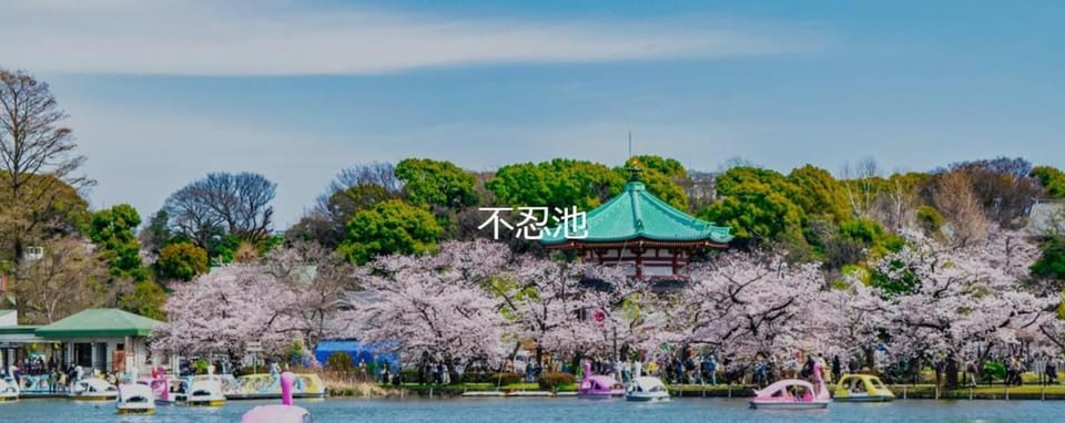 新上野202 站步行7分钟稻成町站2分钟 Apartment hotel in Chiba Prefecture