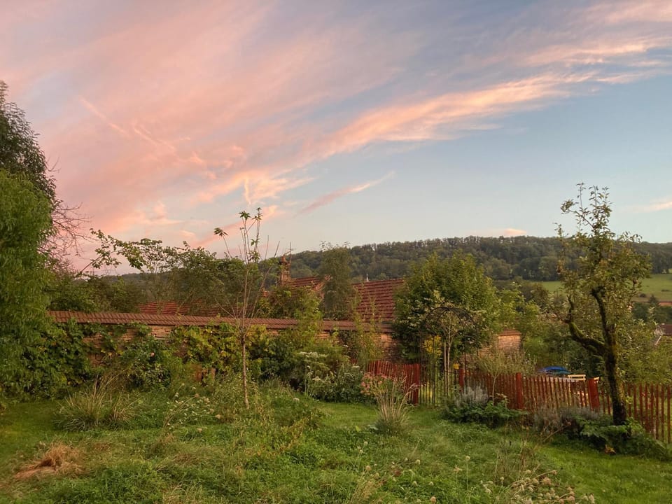 Natural landscape, Garden