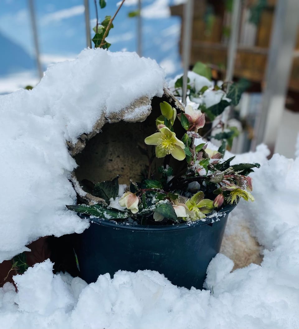 Day, Winter