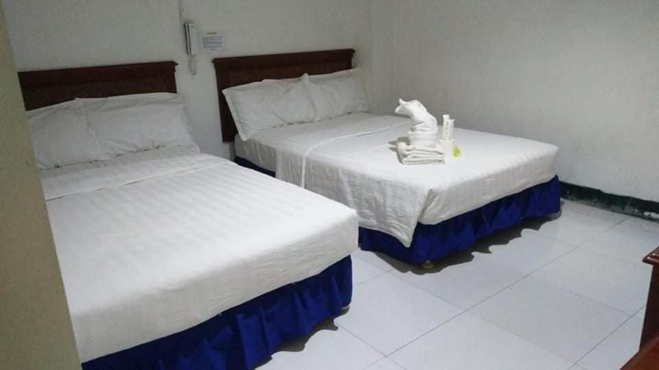 Bed, TV and multimedia