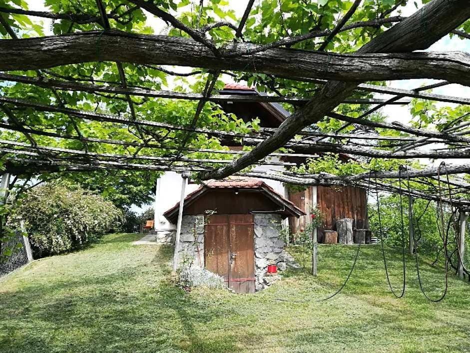 Holiday Home Carovina House in Slovenia