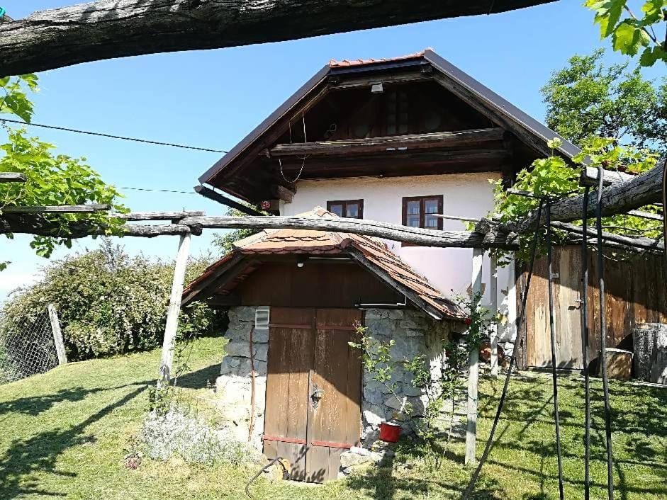 Holiday Home Carovina House in Slovenia