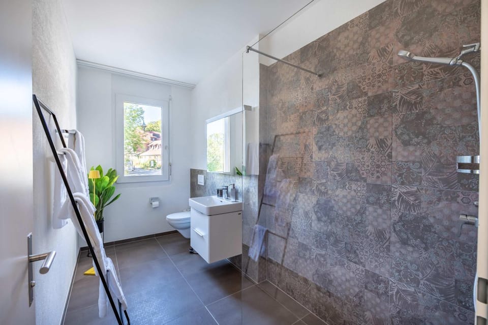 Shower, Toilet, Bathroom, towels