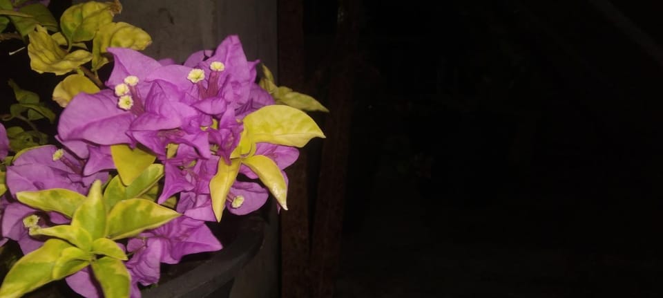 Night, Balcony/Terrace