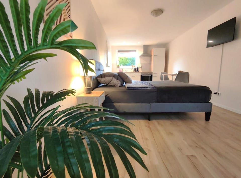 Bed, TV and multimedia, Photo of the whole room