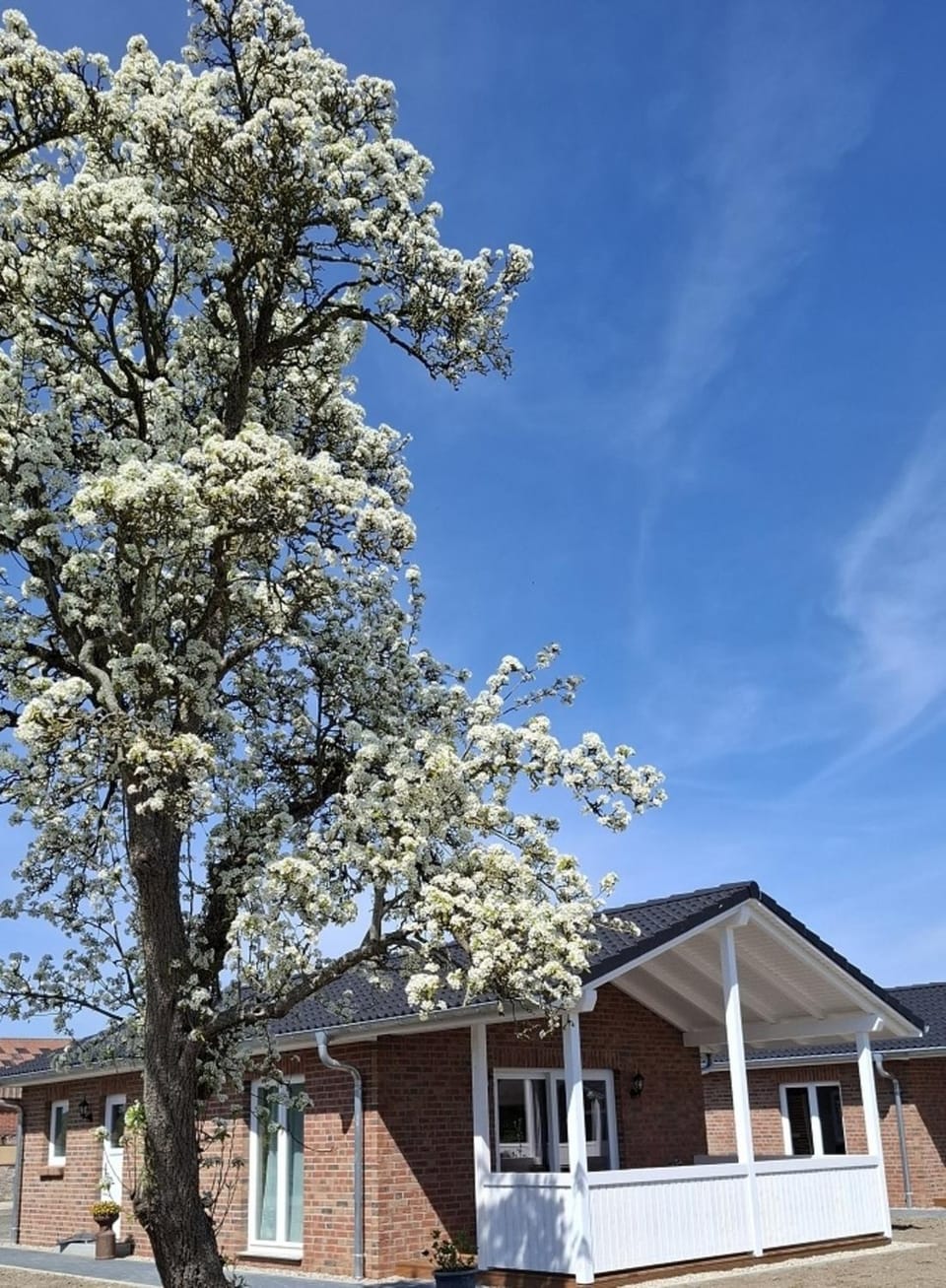 Hof Hagen - "Am Birnenbaum" Neubau 2025 House in Grömitz