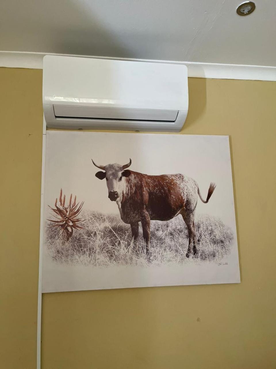 Elem Properties Ongwediva Vacation rental in Namibia