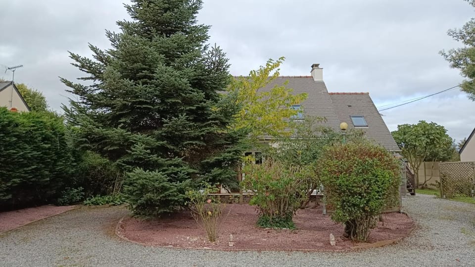 Garden, Inner courtyard view