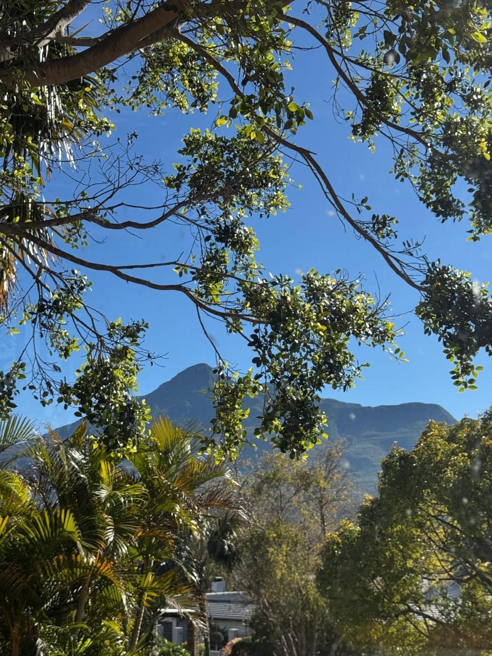 View (from property/room)