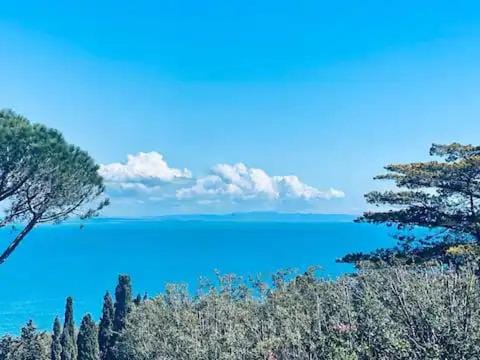 Bosco di Mudonato - Masseria Villa Colonica Apartment in Province of Taranto