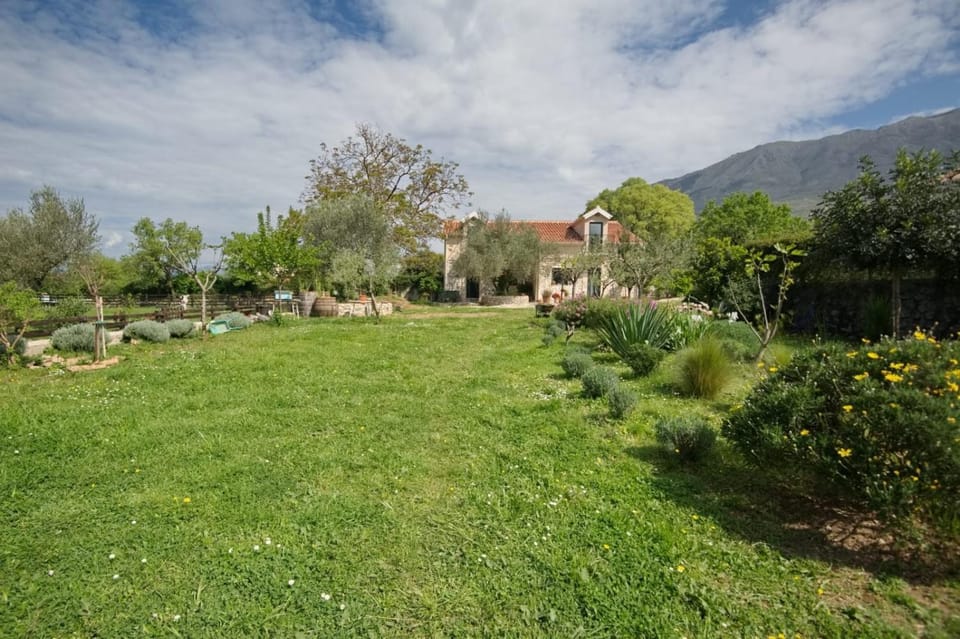 Spring, Day, Natural landscape, Garden, Garden view, Mountain view