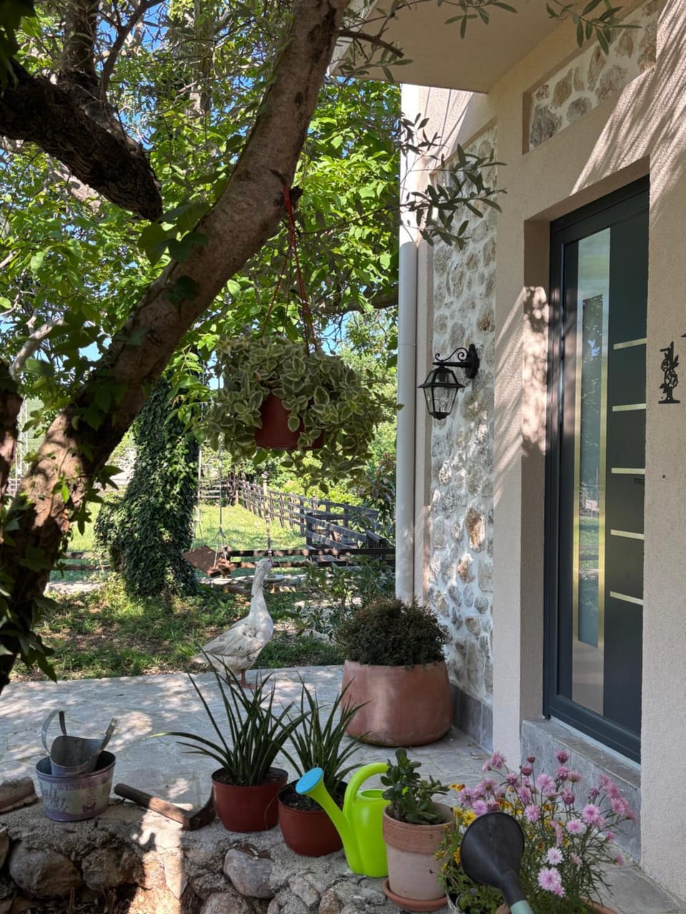 Green Ranch Stara Maslina Apartment in Kotor Municipality