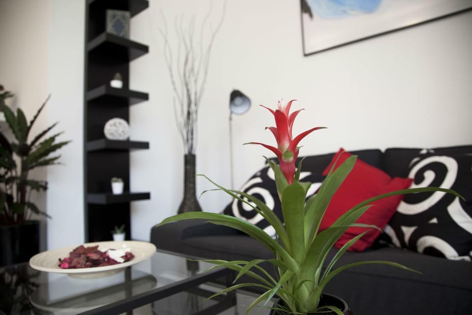 Living room, Decorative detail, Seating area