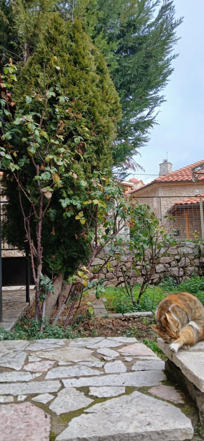 Arachova Maisonette House in Peloponnese, Western Greece and the Ionian