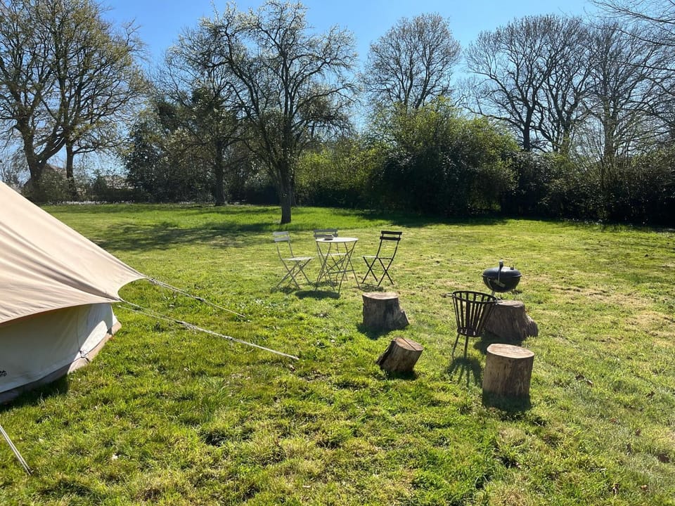 Natural landscape, Garden, Garden view