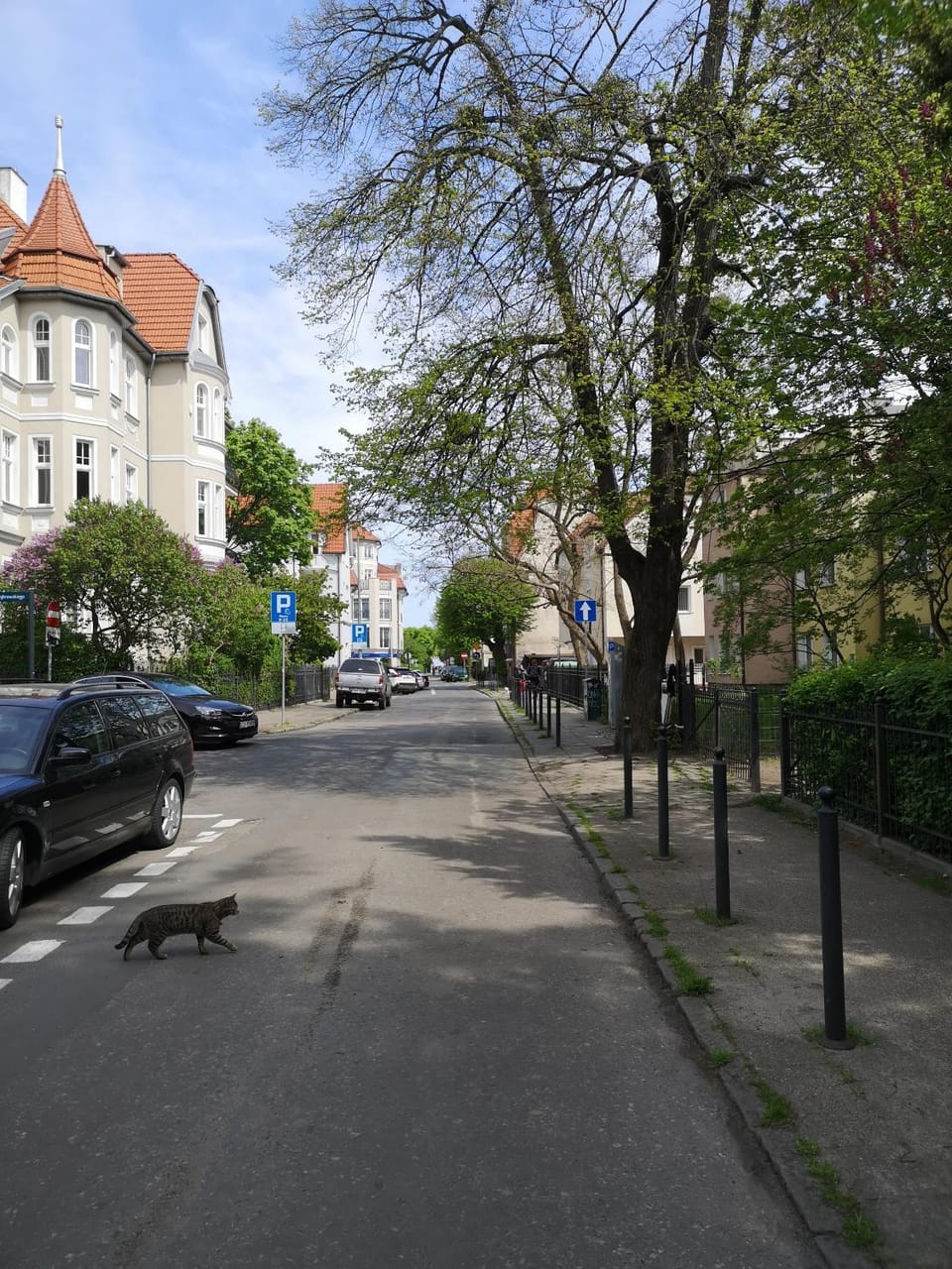 Neighbourhood, Street view, Location