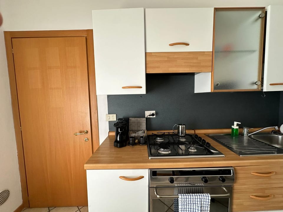 Kitchen or kitchenette, dishwasher, minibar, oven, pet friendly, stove