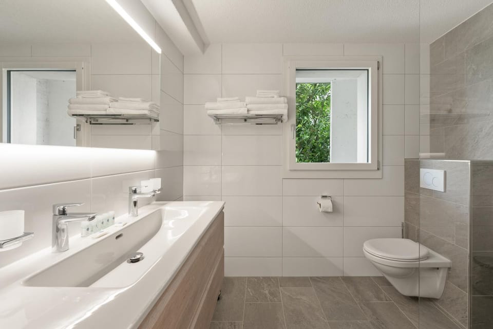 Shower, Toilet, towels
