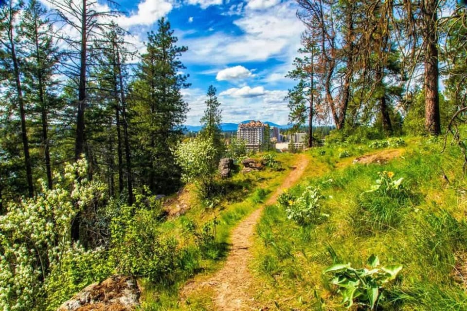Fresh Modern Retreat 5 Min to CDA Lake And Vibrant Downtown Inn in Coeur dAlene