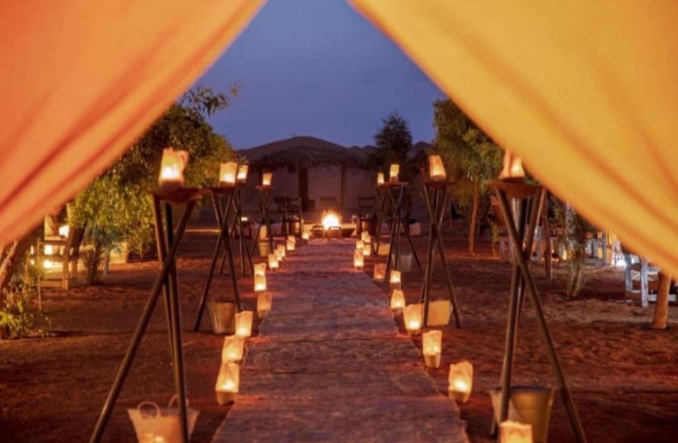 Night, Garden, Garden view