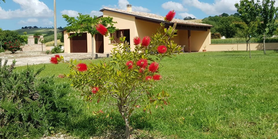 Natural landscape, Garden, Garden view