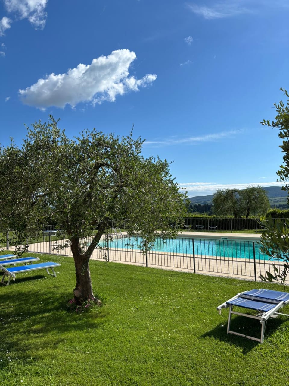 Spring, Garden, Pool view, Swimming pool, sunbed