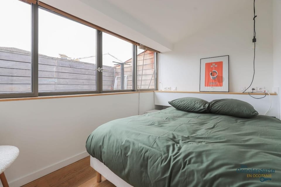 Dv7 Rooftop Hyper-centre Toulouse Apartment in Toulouse