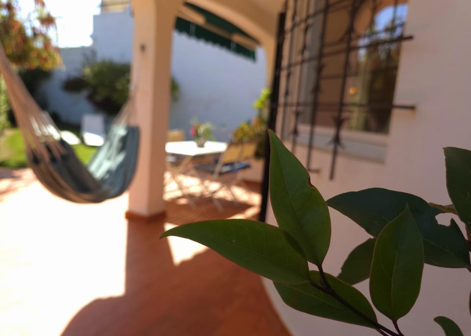 Villa Alprochinhos House in Porches