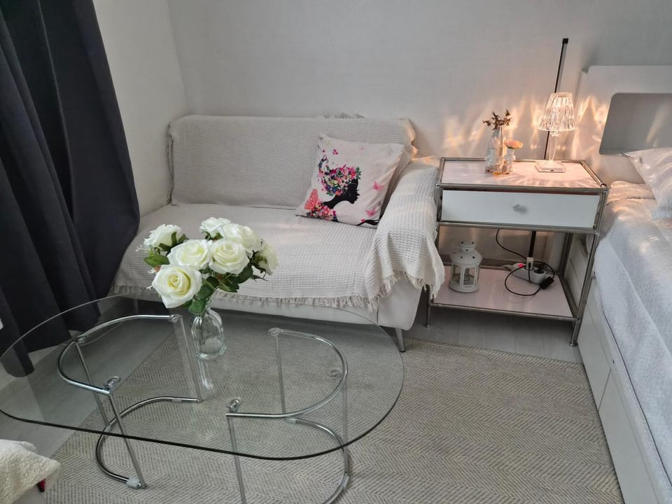 Sillim Danggok Station Full-Op Two Room Apartment in Seoul