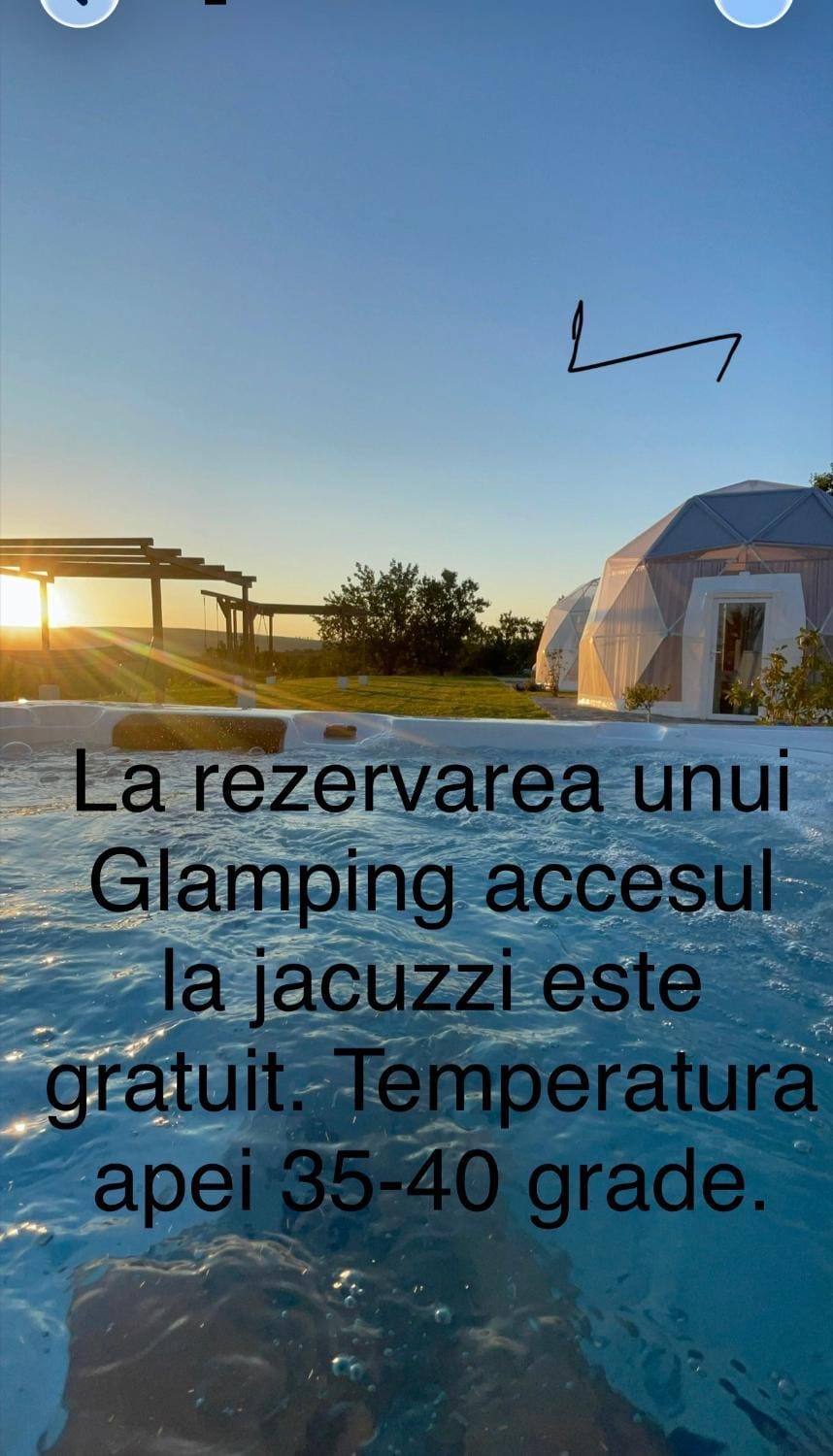 Transylvania WINE Bed and Breakfast in Cluj County