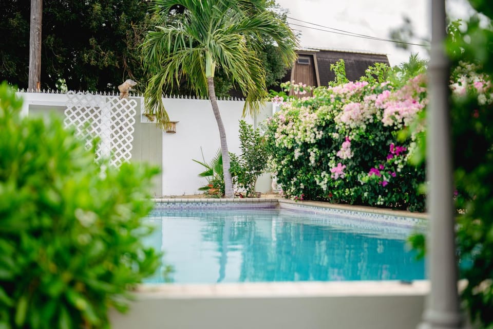 Day, Garden view, Swimming pool