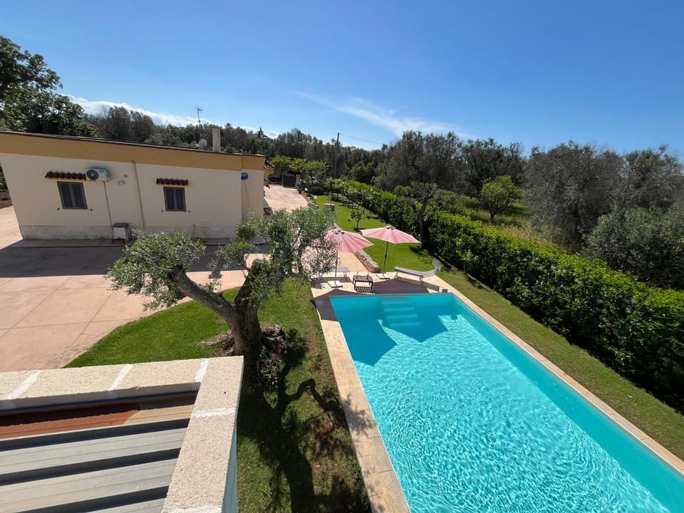 Natural landscape, Garden, Pool view