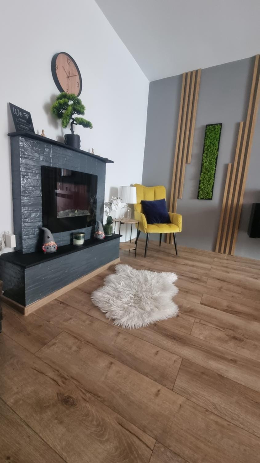 Cozy Modern Apartament Apartment in Moldova