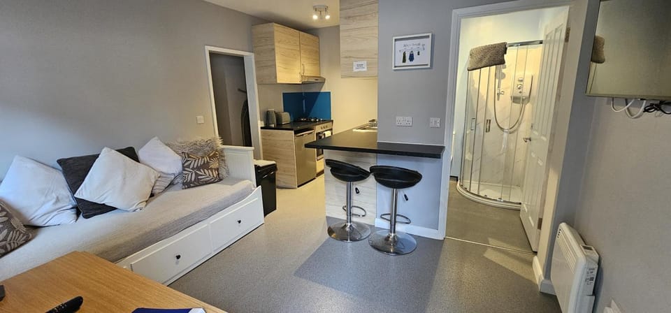 Kitchen or kitchenette, Living room, Photo of the whole room, Seating area, Dining area