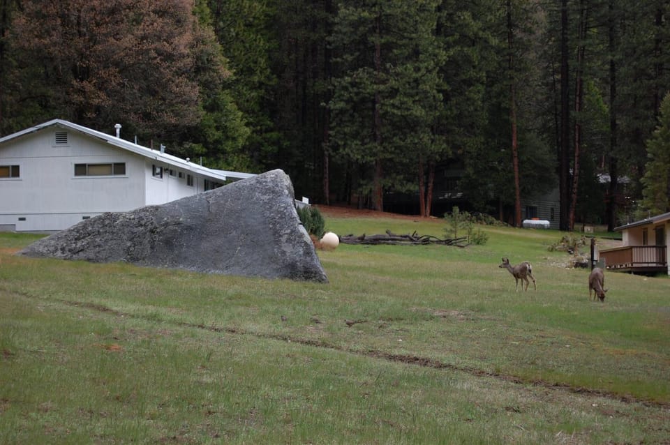 68 Wawona Dome View House in Sierra Nevada