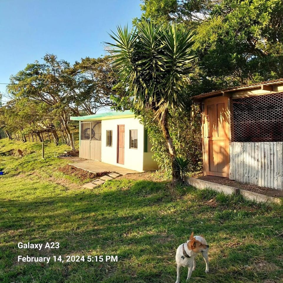 Sunset Farms and Waterfalls! Villa in Alajuela Province