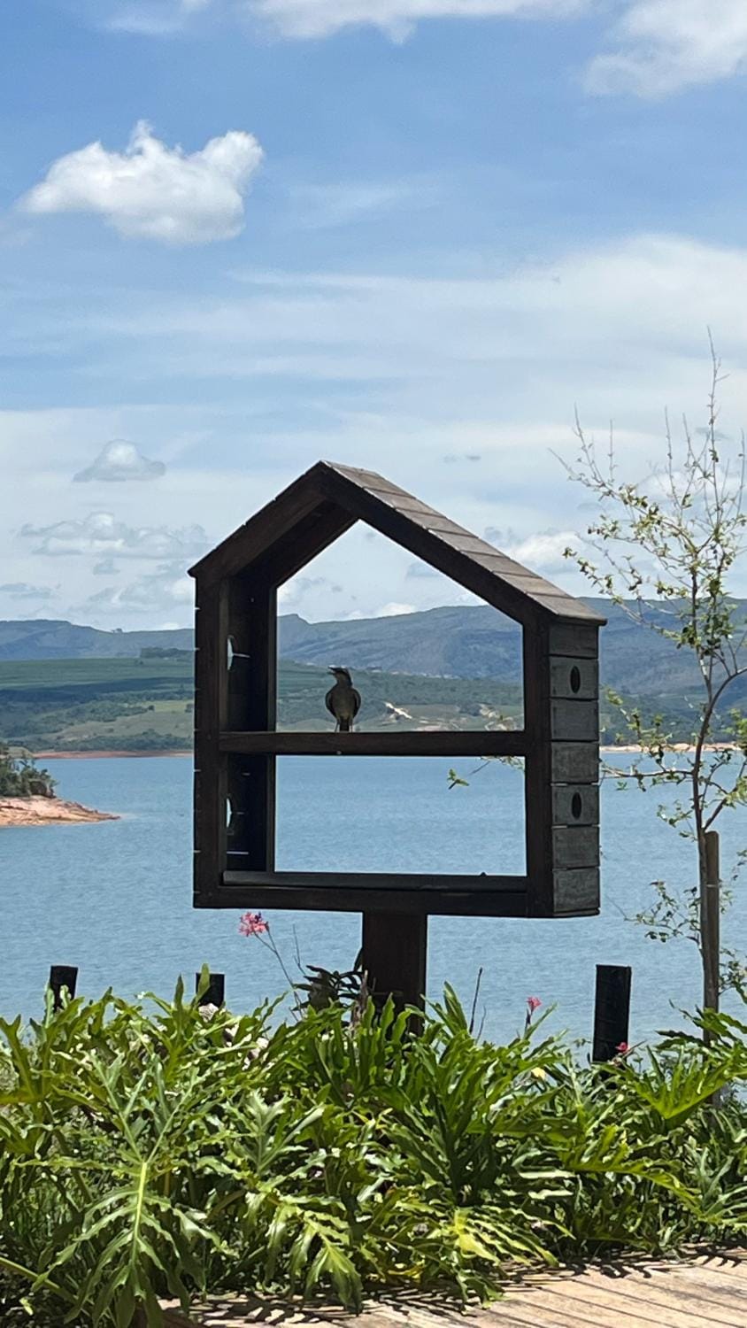 Lake view