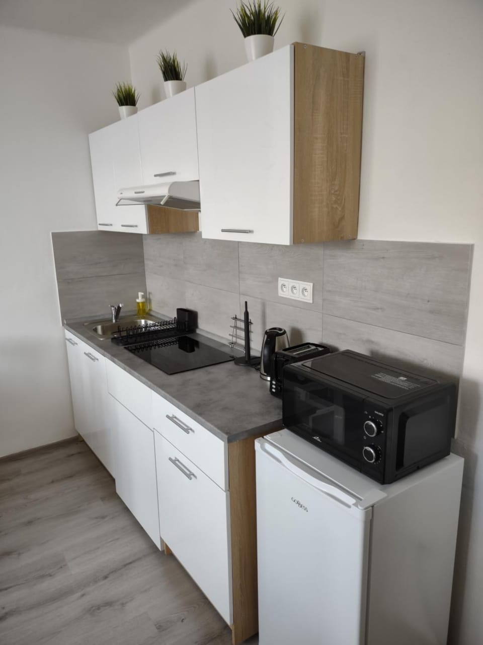 Útulný byt v centru Kroměříže Apartment in South Moravian Region