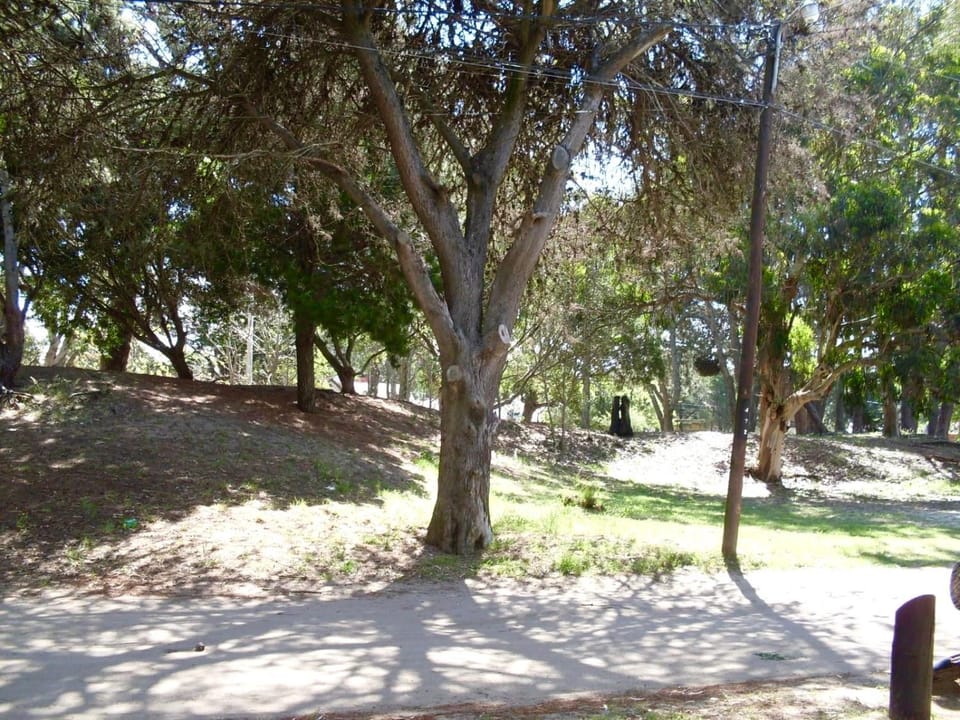 Natural landscape