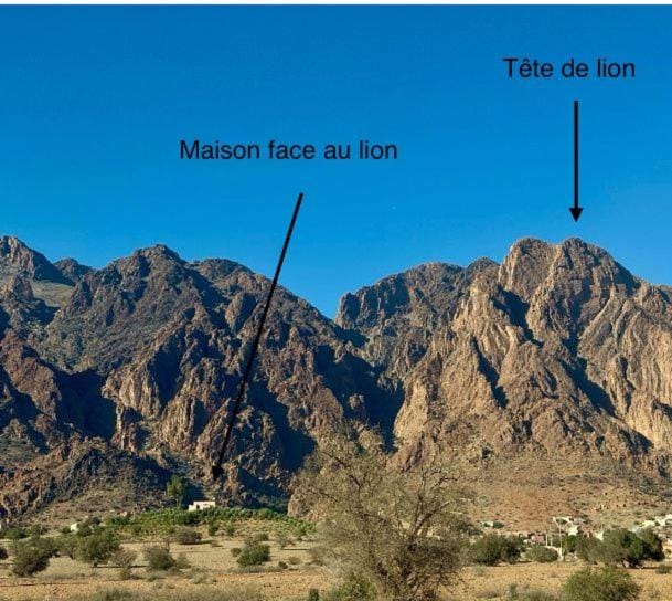 Maison Face au lion Villa in Souss-Massa