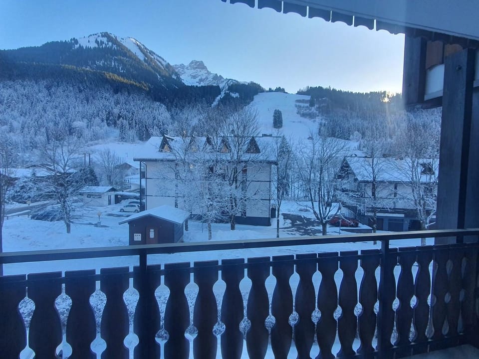 Studio spacieux proche des pistes avec balcon et parking - FR-1-692-111 Apartment in Haute-Savoie