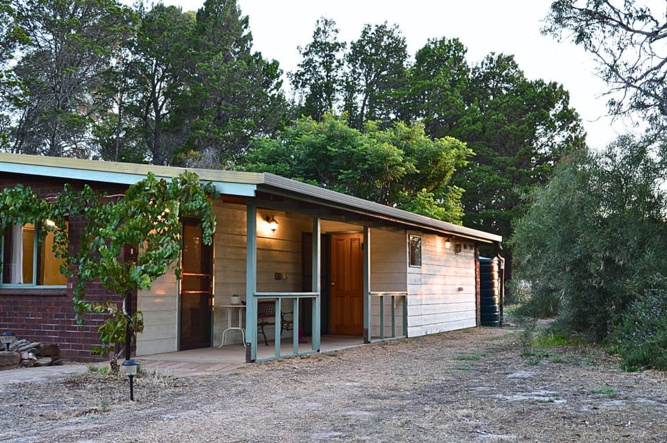 Property building, Garden, Garden view