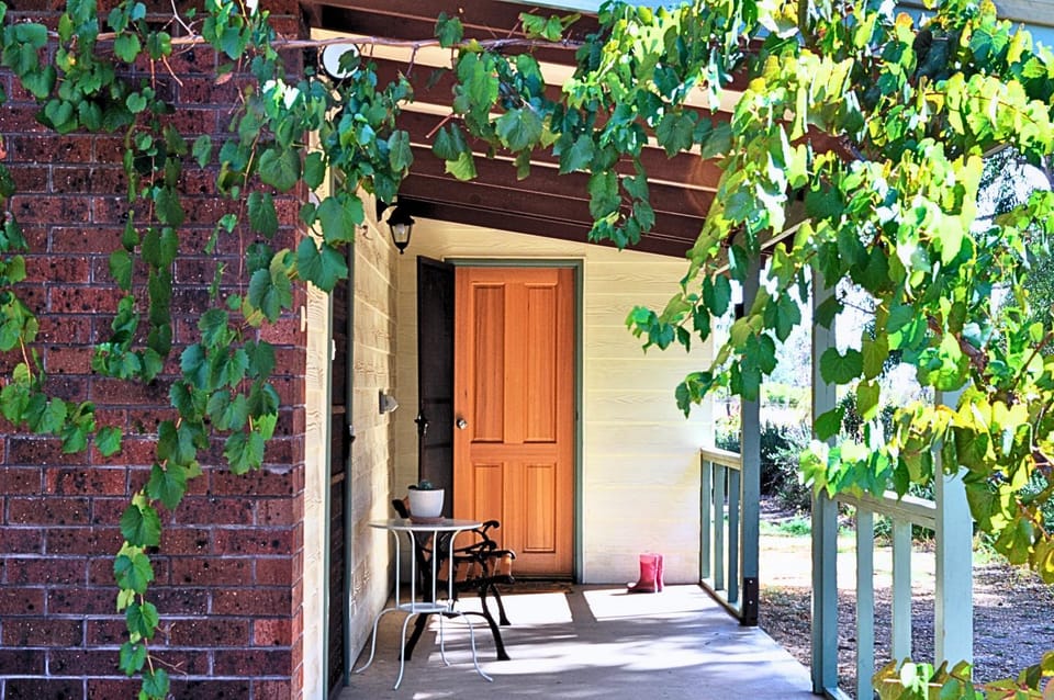 Property building, Patio, Facade/entrance, Garden