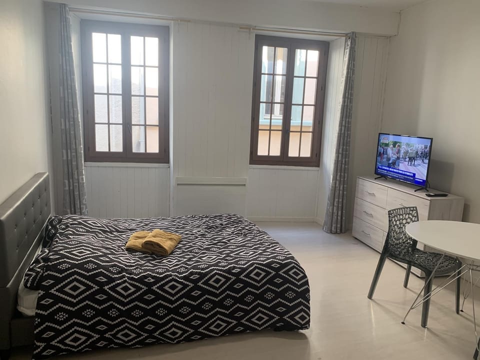 Grand Studio Historique 30m2 - hypercentre Apartment in Chambery