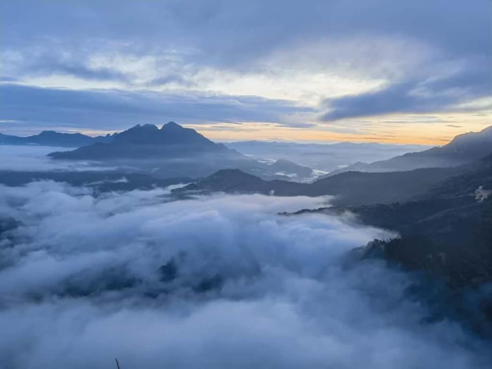 Mountain view