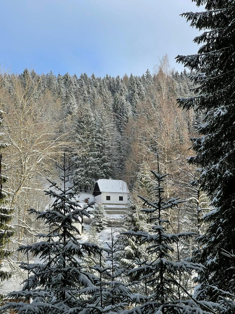 Property building, Winter