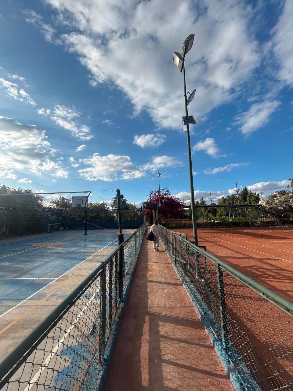 Tennis court
